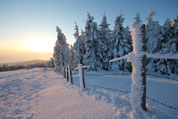 Winterlicher Sonnenuntergang