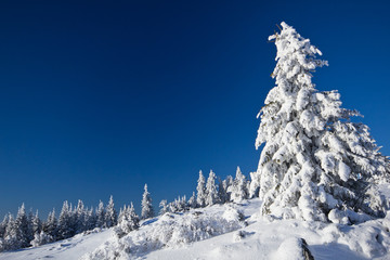 Wintertraum