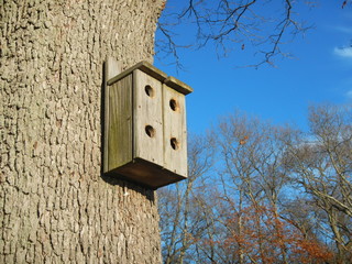 Birdhouse