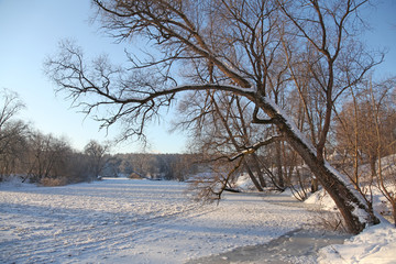 View at winter forest and river in Moscow region, Russia