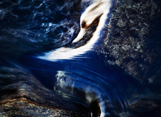 abstract shape of a wave of water
