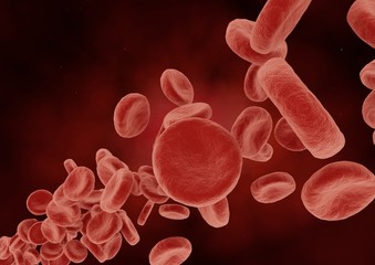 3D rendering Red Blood Cells