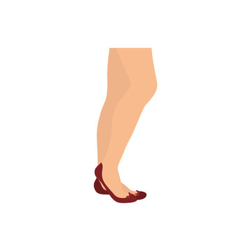 Woman legs cartoon icon vector illustration graphic design
