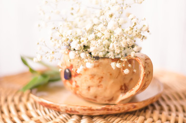 Spring natural background with white flowers
