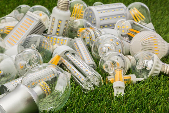 Big Family Of Ecco LED Bulbs Of Various Types