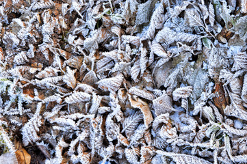 Winter landscape with snow and ice detail