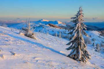 Fototapeta premium Beautiful winter landscape in the mountains, Bieszczady, Poland