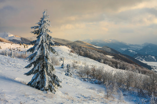 Beautiful winter landscape in the mountains, Bieszczady, Poland