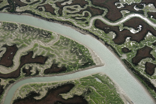 Aerial view of marshes with Seaweed exposed at low tide, Bah&iacute;a de C&aacute;diz Natural Park, C&aacute;diz, Andalusia, Spain, February 2009.