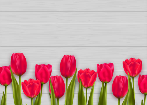 Tulips isolated on wood background. Vector illustration.