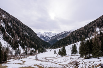 A winding road in mountain environment. The snow partially covers the ground. The trees are without snow. Mountains in the distance. Cloudy sky. Val di Rabbi, Trentino Alto Adige
