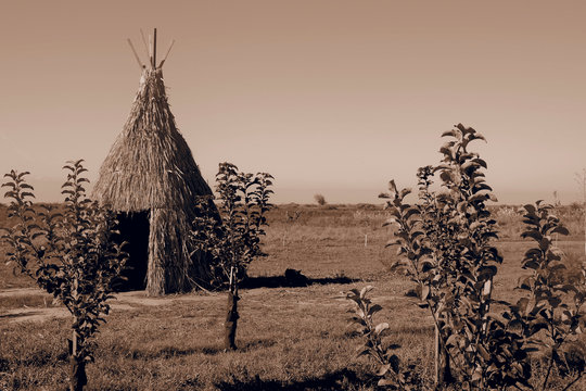 Teepee aka wigwam in the field with young trees. Vintage sepia toned image