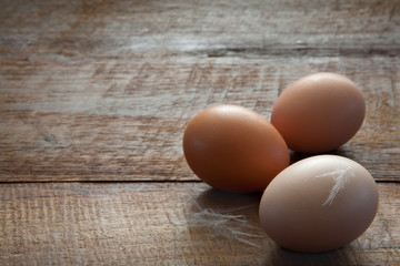 Three Fresh Farm Chicken Eggs and Feathers Close Up Horizontal on a Dark Brown Wooden Rustic Farm Table with Copy Space 