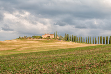 Tuscany landscape, beautiful green hills springtime