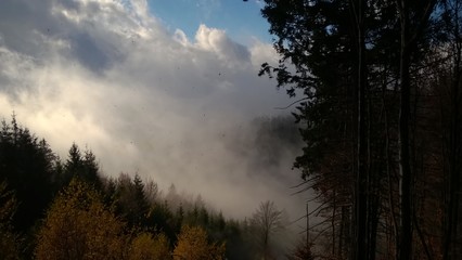 Mist in the woods and mountains during autumn. Slovakia