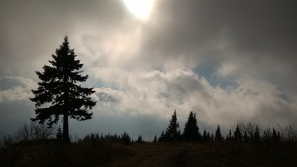 Mist in the woods and mountains during autumn. Slovakia