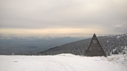 Hut hidden in the woods in snow during winter. Slovakia