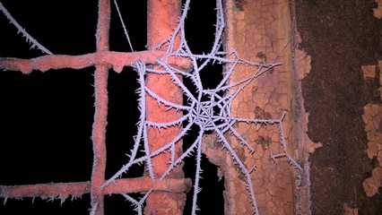 Frozen spider net with ice needles. Slovakia