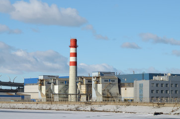 Obraz premium The plant in the industrial zone.