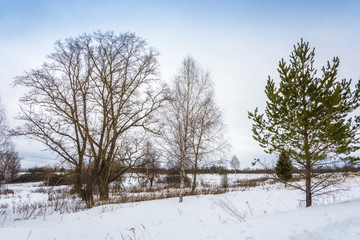 Fototapeta na wymiar Beautiful winter landscape.