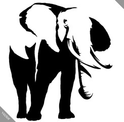 black and white linear paint draw elephant illustration