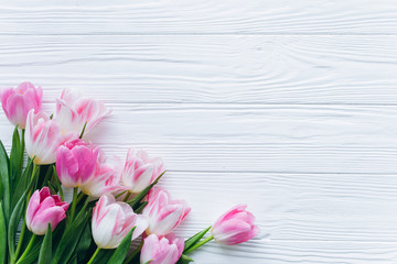 Wooden white background and pink tulips. Conception holiday, March 8, Mother's Day.