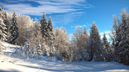Nature covered in snow during deep winter. Slovakia