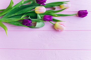 Wooden pink background and tulips. Conception holiday, March 8, Mother's Day.