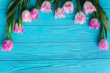 Wooden blue background and pink tulips. Conception holiday, March 8, Mother's Day.