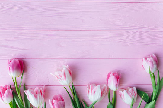 Wooden pink background and tulips. Conception holiday, March 8, Mother's Day.