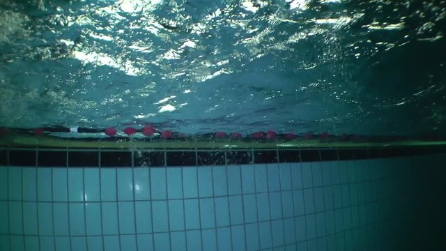 Girl swims backstroke on pool lane, wide shot, view from underwater.
