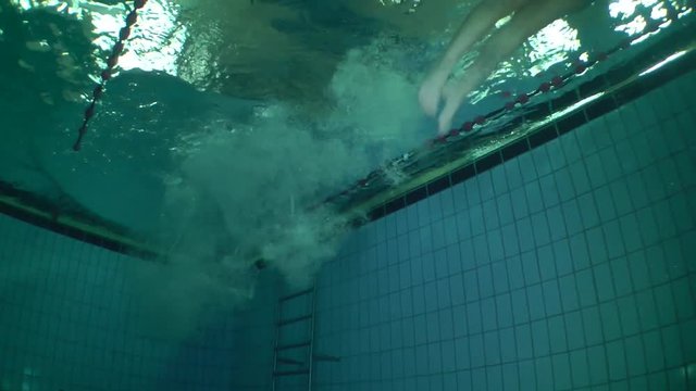 The girl-swimmer starts jumping from pool board, wide shot, underwater view.
