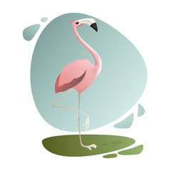 Vector illustration. Exotic animals. Tropic bird. Pink flamingo looking away
