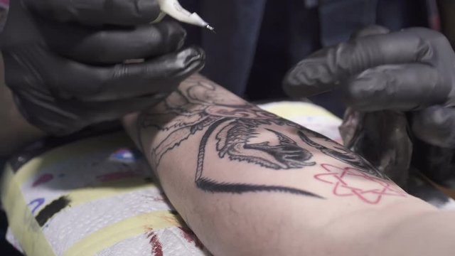 The process of creating the tatoo of insect
