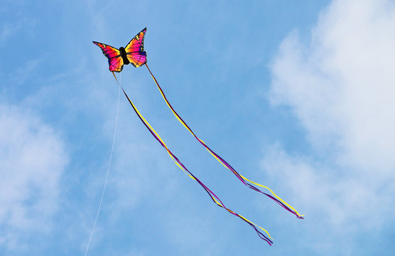 Butterfly Kite