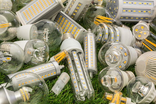 Big Family Of Eco LED Bulbs Of Various Types