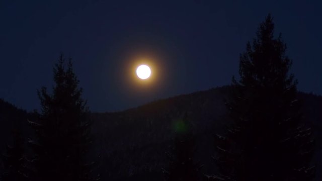 Moon, pines mountains