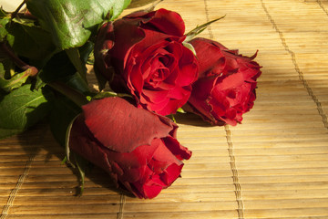 Red roses on glass surface