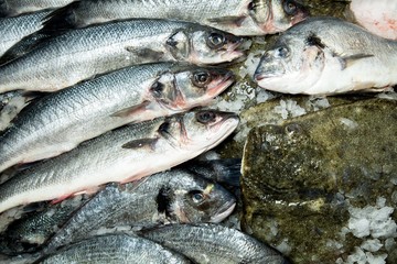 Fischmix