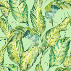 Natural leaves exotic watercolor seamless pattern