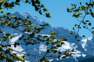 Bayern Alpen Zugspitze