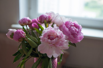 Peonies in front of the window