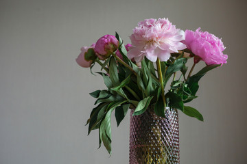 Bouquet of peonies in a vase