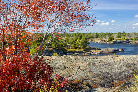 Wild River Channels