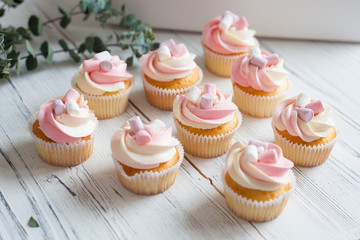 Cupcakes with marshmallows