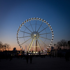 Illuminated Ferris Wheel in Paris, France