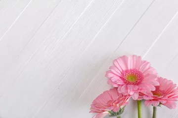 Crédence de cuisine en verre imprimé Gerbera Fleurs de gerbera rose sur fond vintage bois blanc. Conception d& 39 amour du 8 mars ou de la Saint-Valentin. Fleurs naturelles fraîches. Planches de bois peintes.