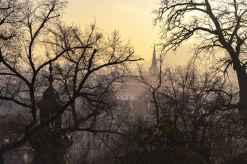 Prague's gothic architecture silhouettes in sunset and foggy light. View from Prague Castle.