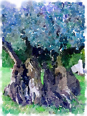 Digital watercolor painting of a closeup of a large olive tree with a thick large tangled trunk. With space for text. 