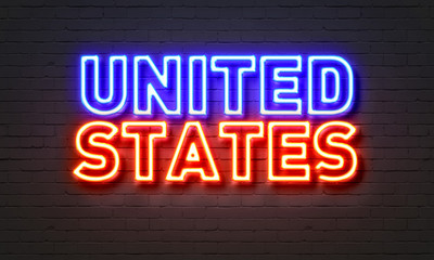 Obraz premium United states neon sign on brick wall background.